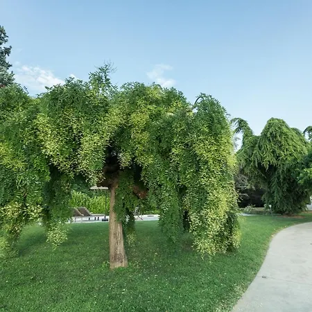 Le Civette Mogliano Veneto
